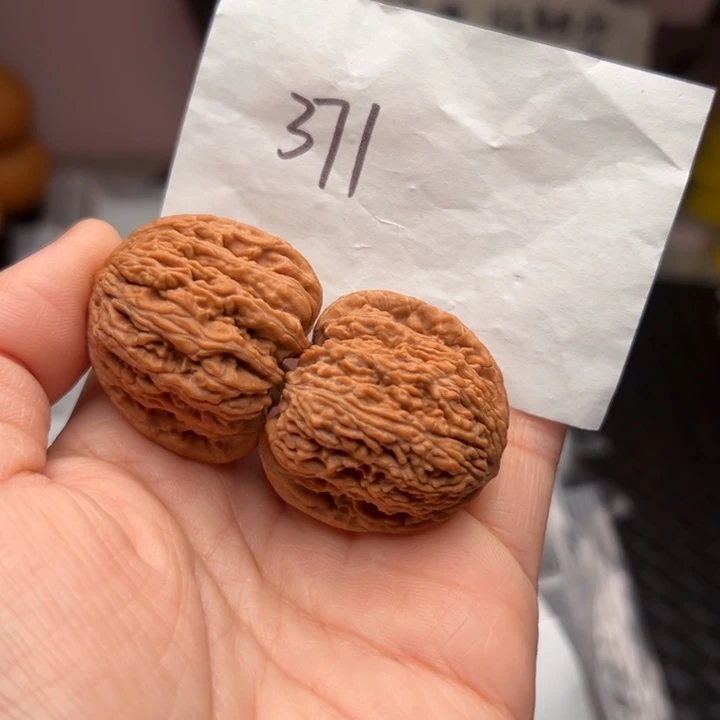核桃34尺寸红宝石