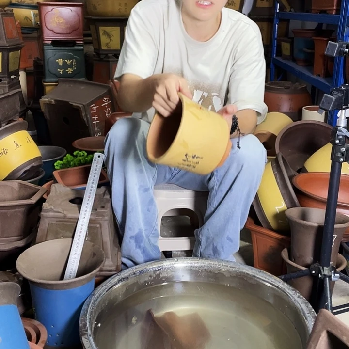 花开富贵小号一个花盆花盆