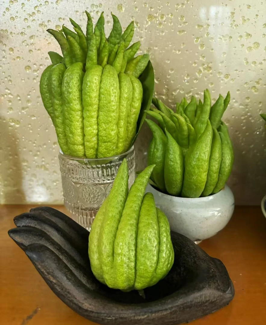 小羊【300-500g】新鲜现采云南佛手柑 鲜果观赏闻香天然香薰