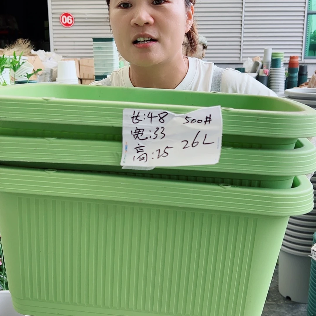 菜盆500#果绿色3个无托