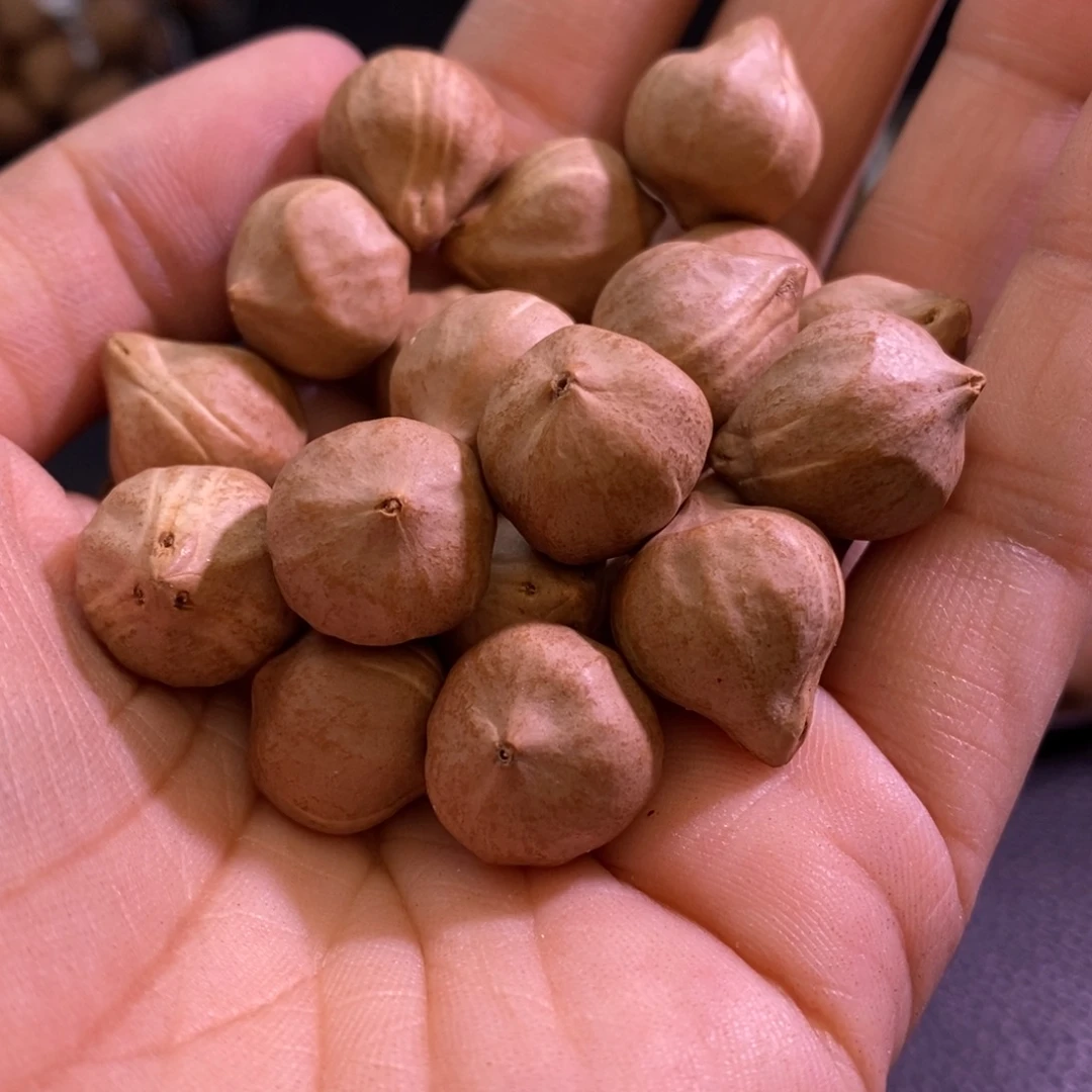 少***阀手串/手链橄榄核1