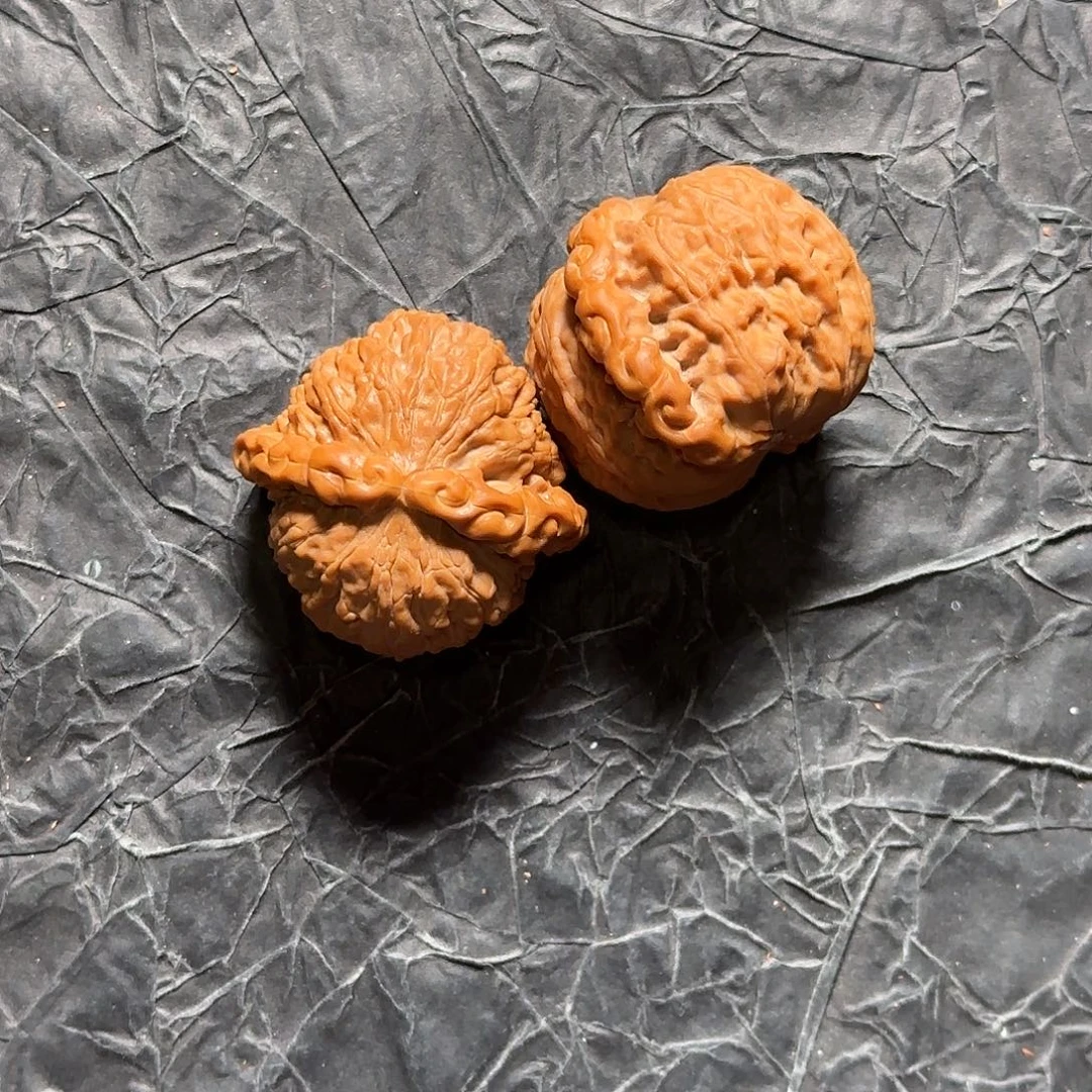 吊坠金刚菩提白狮子雕刻