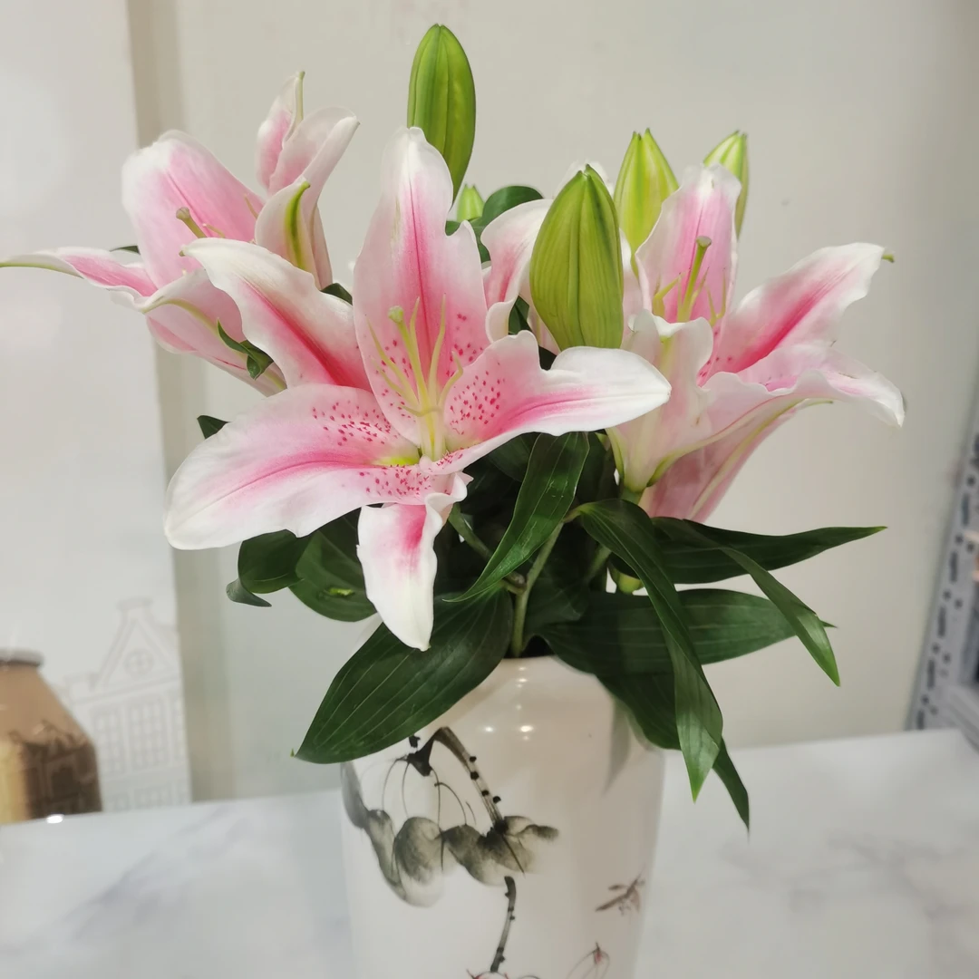 居家鲜花，插花瓶鲜花粉色百合12朵花店 送花上门