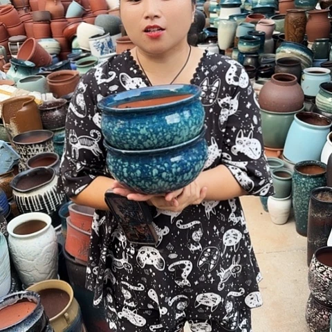 口20高11瑕疵两个盆