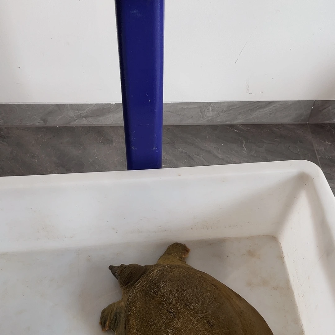 中国大陆1658758753