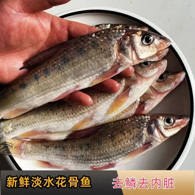 【一物一拍】各种淡水湖鱼类土鱼现挑现秤价格以直播间称重为准