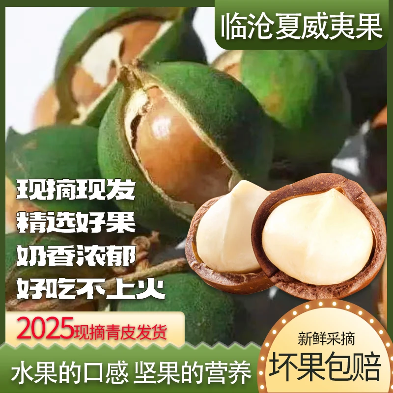 云南高山新鲜夏威夷果新鲜采摘去皮坚果孕妇水果整箱