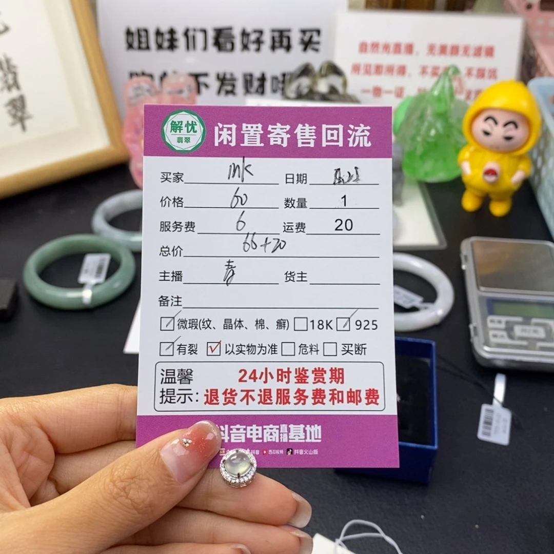 翡翠银S925镶嵌颈饰M****a