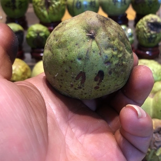 桃核吊坠核桃核桃