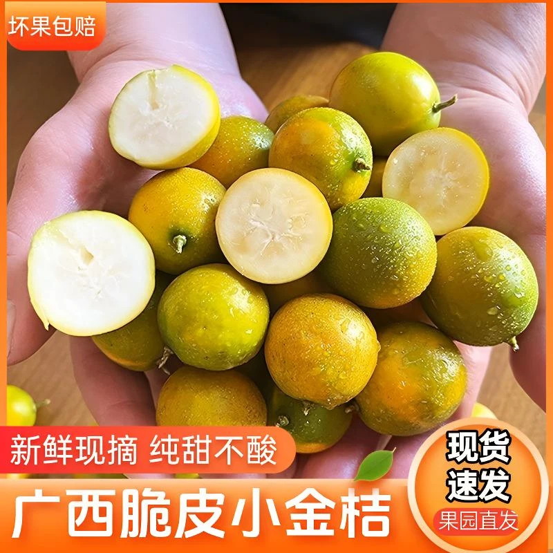 金桔广西二代脆蜜金桔爆甜多汁脆皮金桔现摘新鲜当季水果滑皮金柑