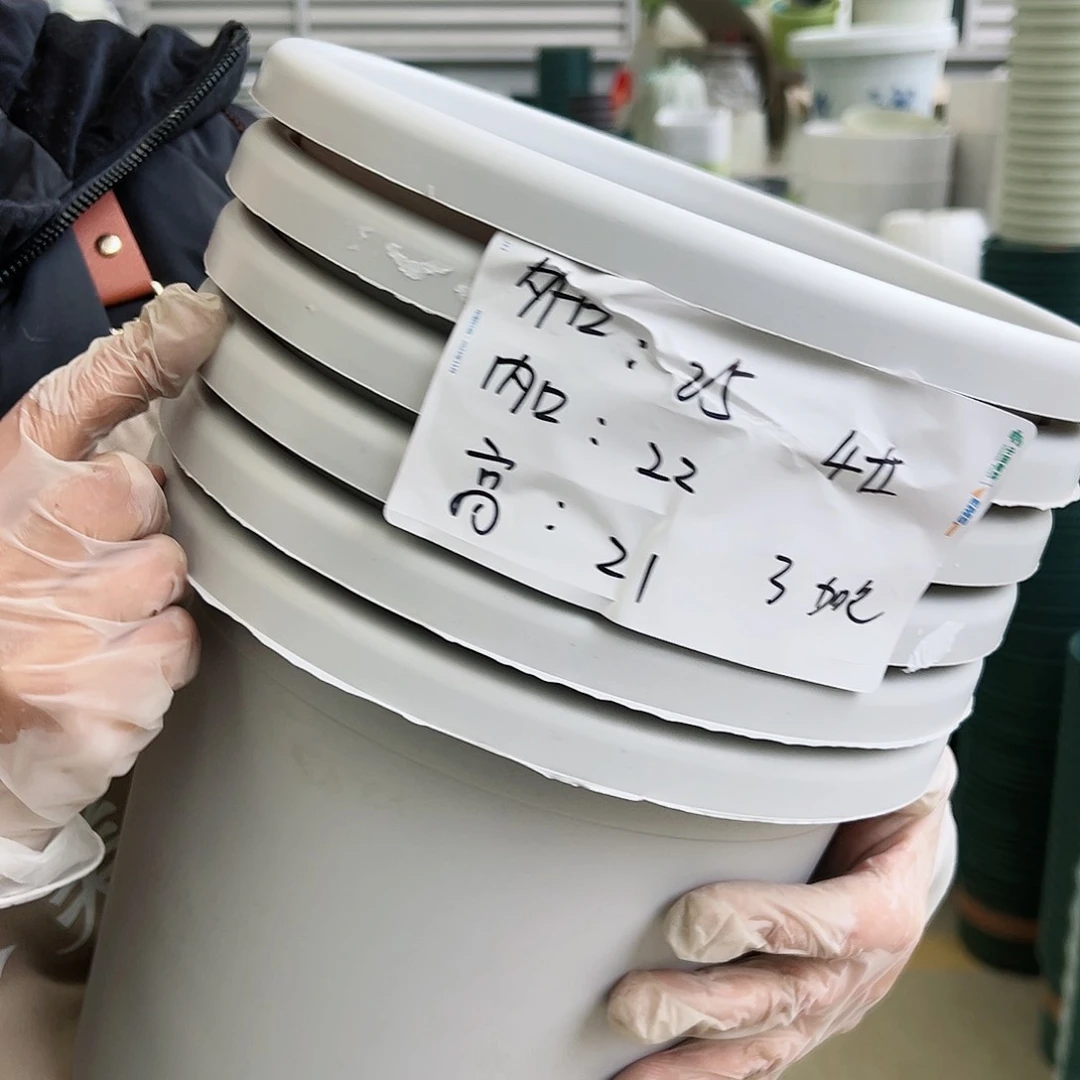 树脂四季4#灰白色8个无托