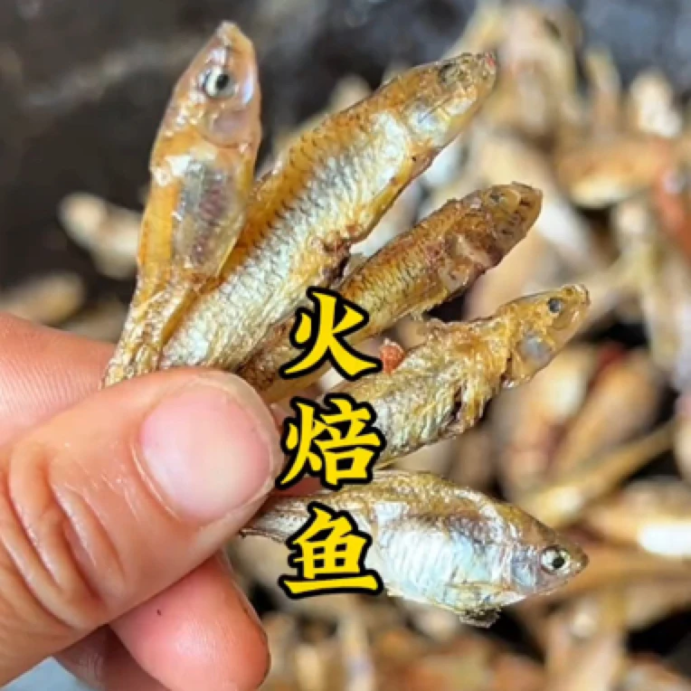 湖南农家火培嫩子鱼淡水小鱼干