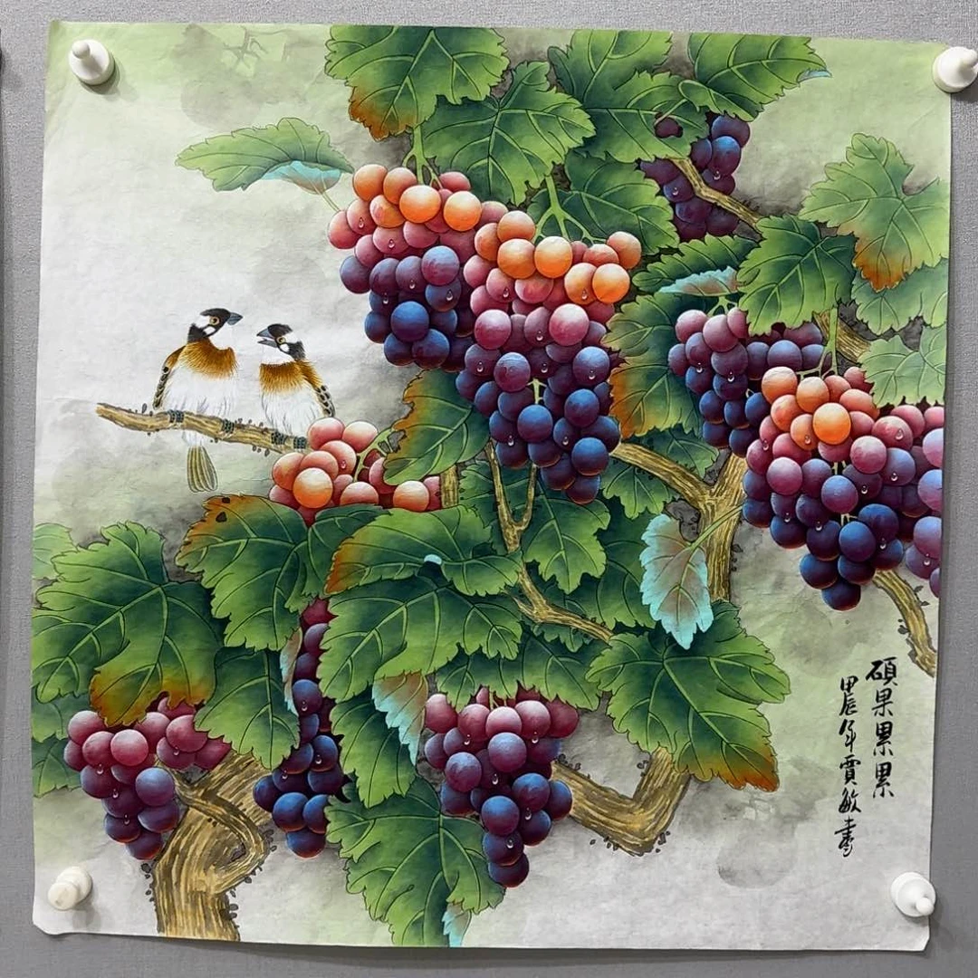 国画为***来工笔葡萄斗方贾敏
