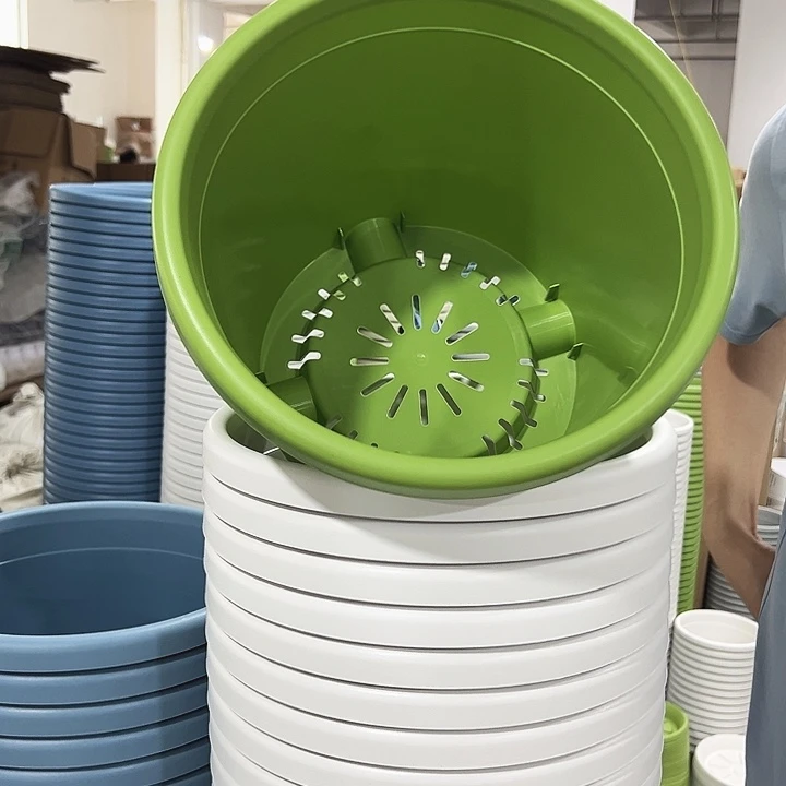 特价5号四季口29高24.5果绿无托5只