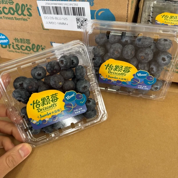 怡颗莓 云南大蓝莓 18mm+ 两个装，一盒125g云南蓝莓云南省西双版纳傣族自治州
