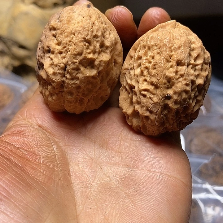 把件文玩核桃云南铁核桃基地64