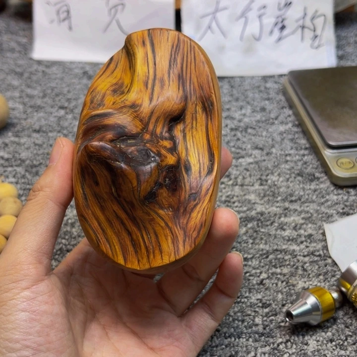 柏木（崖柏）崖柏105