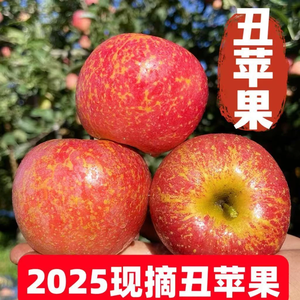 正宗大凉山丑苹果盐源苹果冰糖心新鲜水果现摘新鲜好吃划算批发