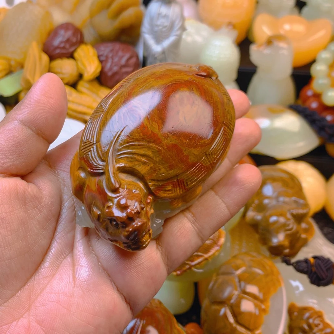 長*新疆五彩石龙龟