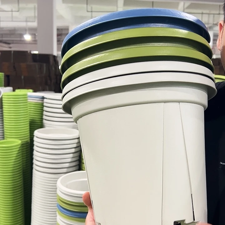 正品青山口32高28果绿色5个无托