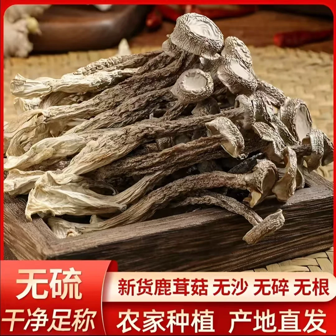 鹿茸菇干货菌菇古田高山特产优质头茬新货脆脆菇脆爽鲜嫩煲汤蘑菇