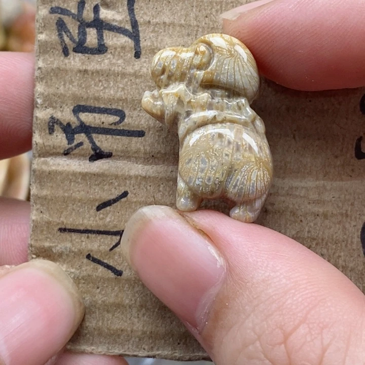 颈饰未镶嵌硅化珊瑚（珊瑚玉）有****饭