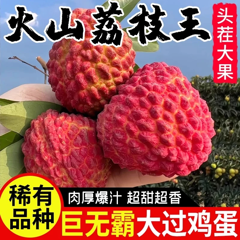 海南荔枝王当季新鲜水果包邮整箱妃子超大鲜时令澄迈现摘应季笑