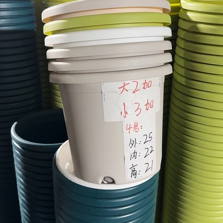 四季4#口径25果绿8个带托