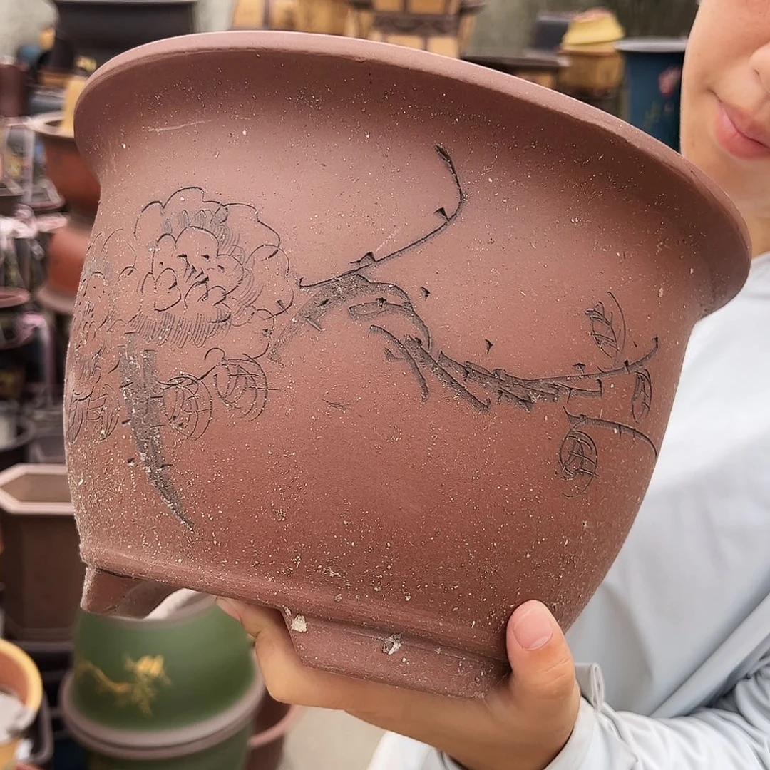 A801花盆花盆花盆花盆