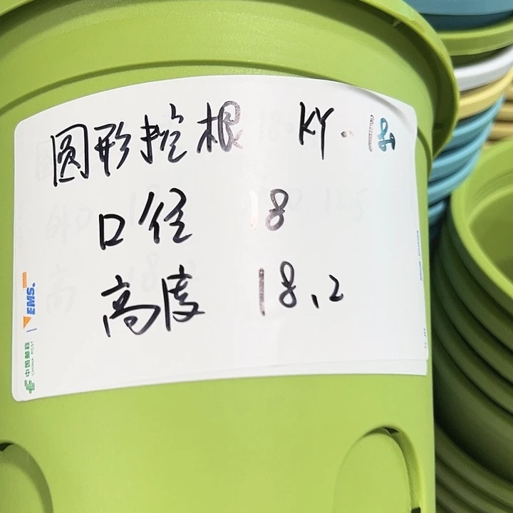 正品圆控口18高18果绿无托8只