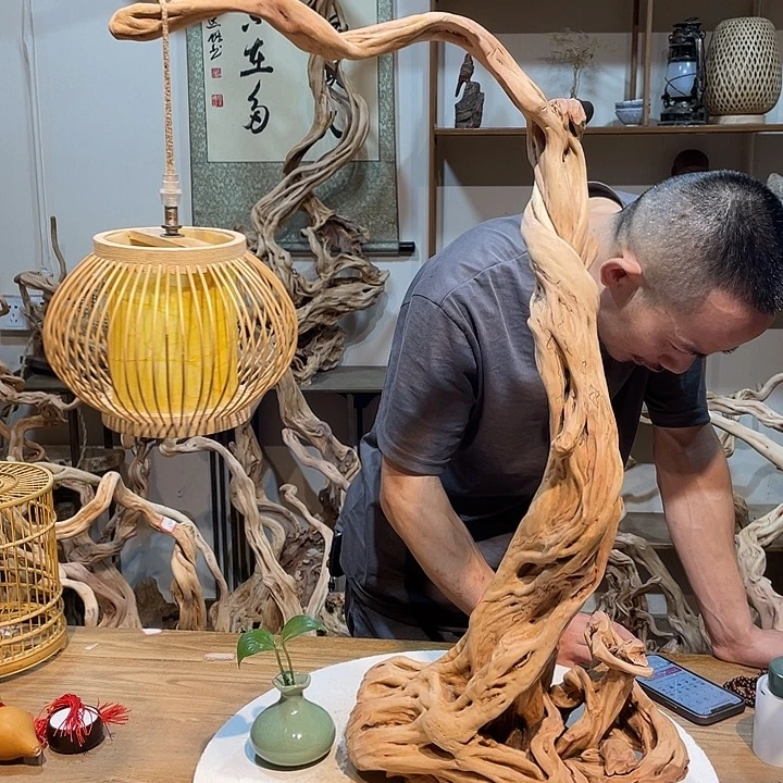 香榧木杜鹃花开三