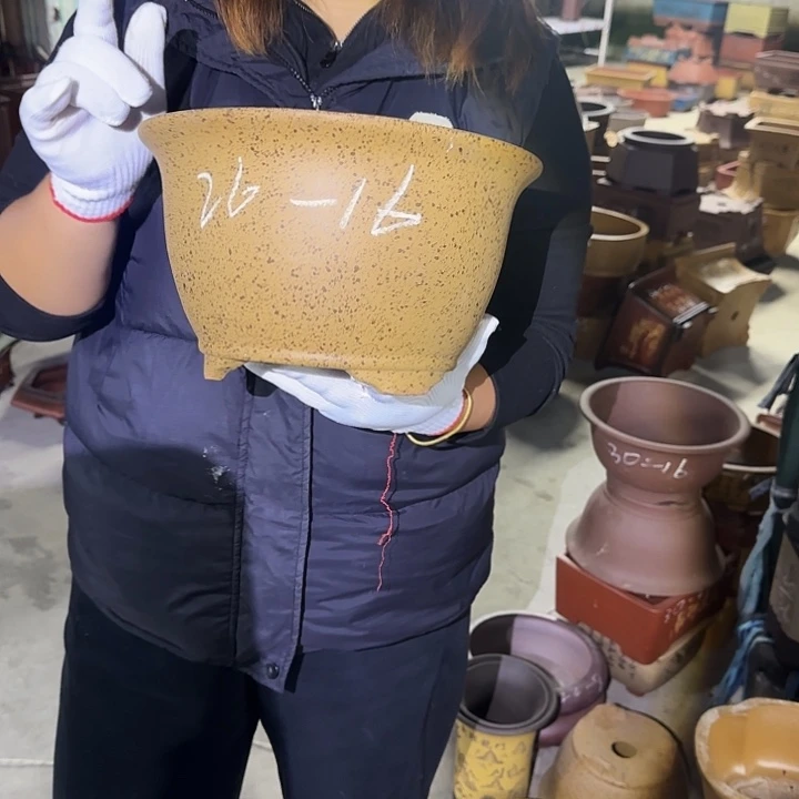 花盆紫砂这是什么