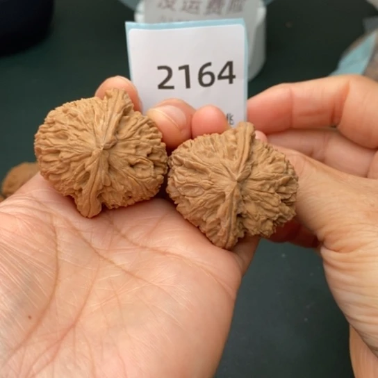 文玩核桃把件40白狮子2164