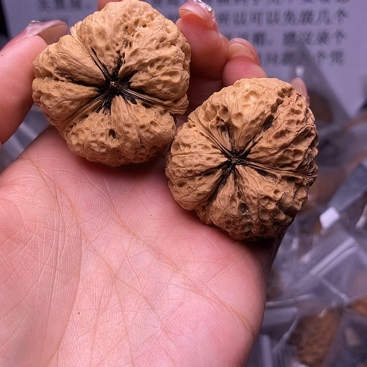 核桃云南野生铁核桃14号41mm