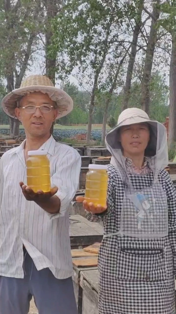 2025年泡桐蜜桐花蜜蜂农自采自销
