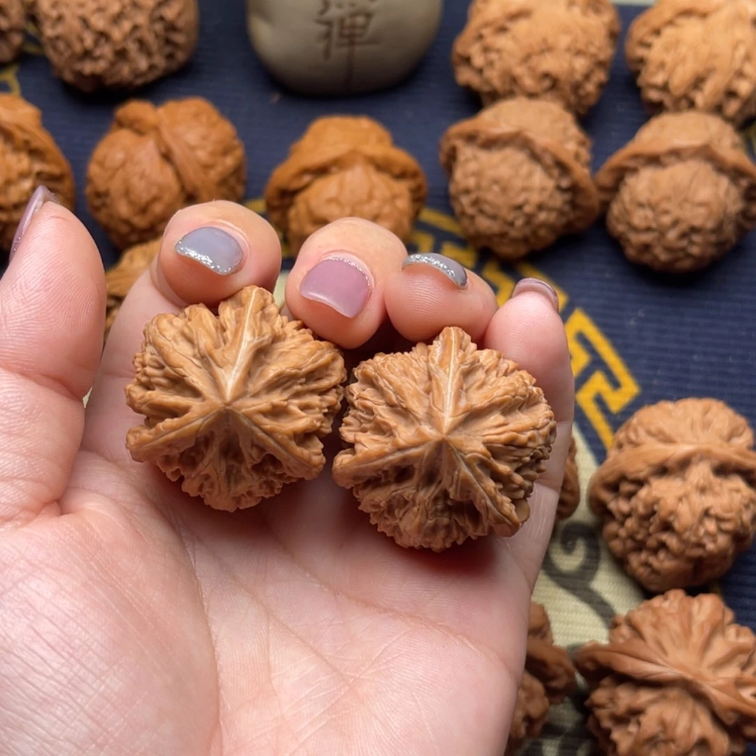 核桃高端小众文山33