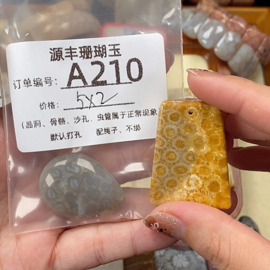 A***外未镶嵌颈饰硅化玉