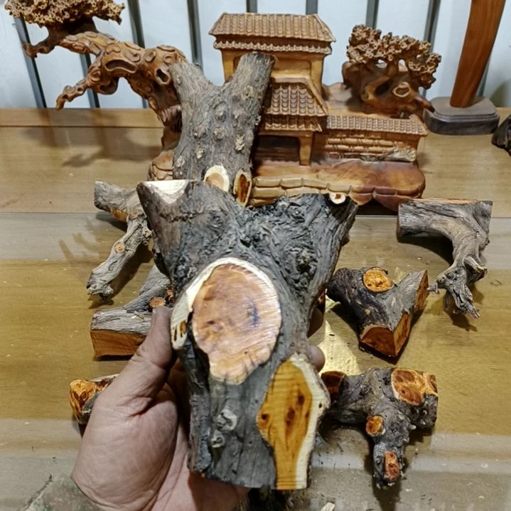 用***4香榧木崖柏原叉崖柏原叉崖柏