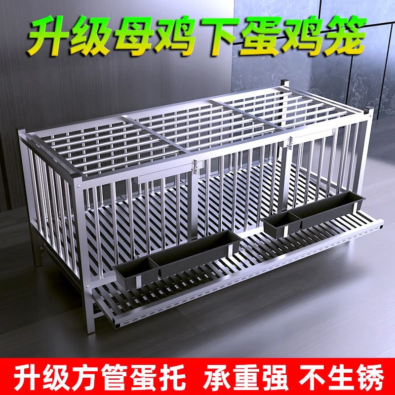 新疆西藏包邮鸡笼子家用下蛋养殖笼大号特大不锈钢鸡笼自动滚蛋出