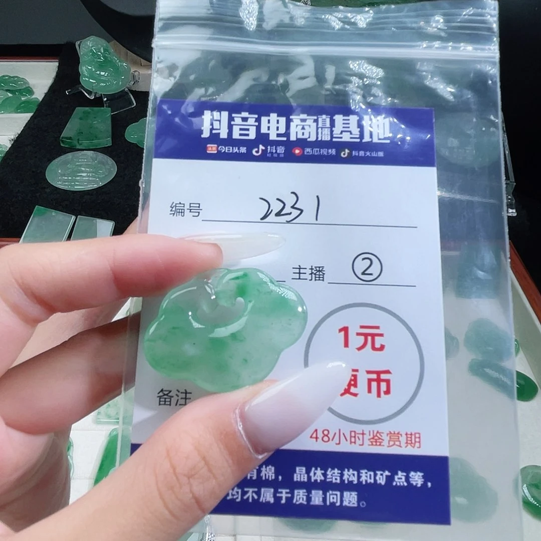 石英质玉未镶嵌颈饰