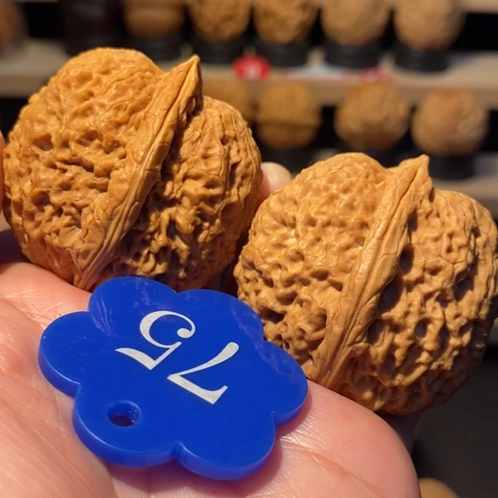 木质类龙鳞铁狮子42尺寸，大克重62克