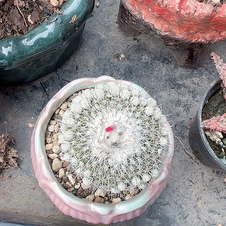 姐***签恭喜发财我爱我亲爱地的