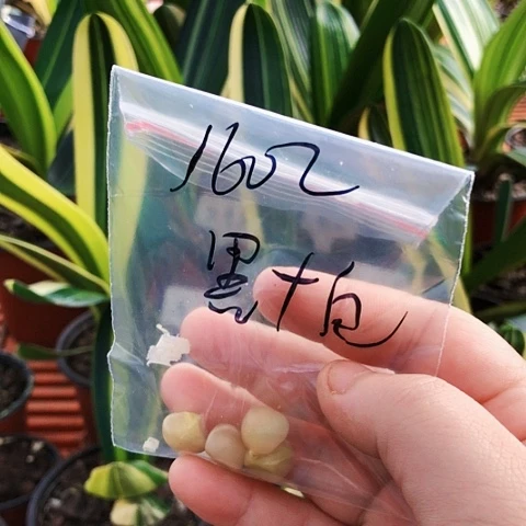 【闪购商品】用****2