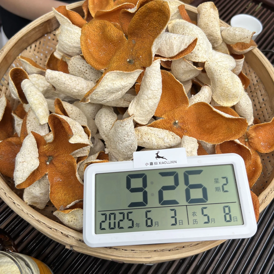 2024新会梅江圈枝大红新皮 ①小鹿收茶  新会新皮 6月3