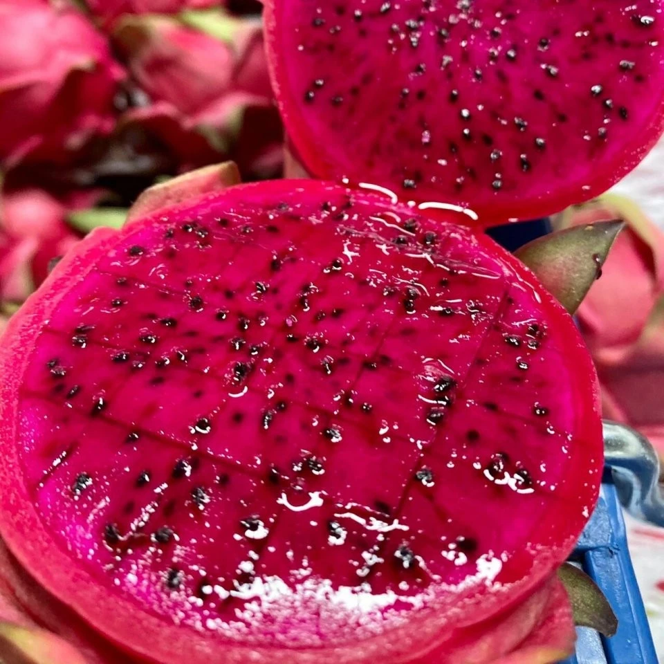 红心火龙果约 1.3kg