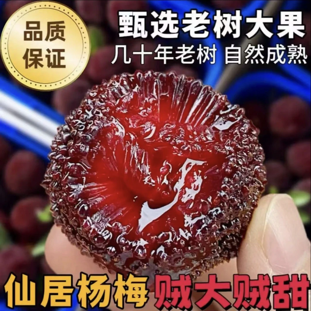 【龙头子】新鲜现摘仙居杨梅颗粒豪华礼盒包装顺丰冷链空运