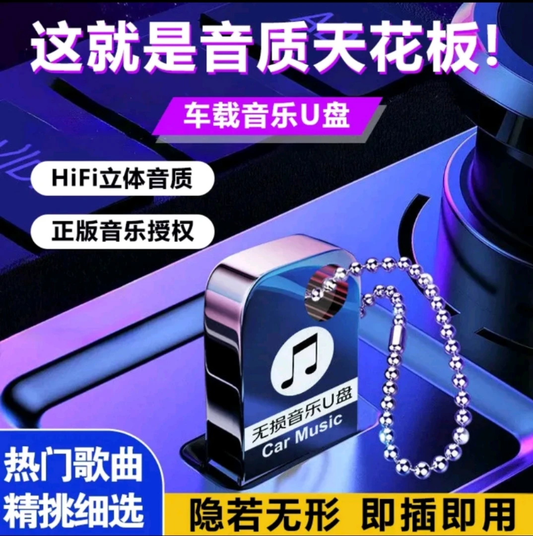 【2025畅销版】车载U盘，母源灌入，无损正版，专属链接二