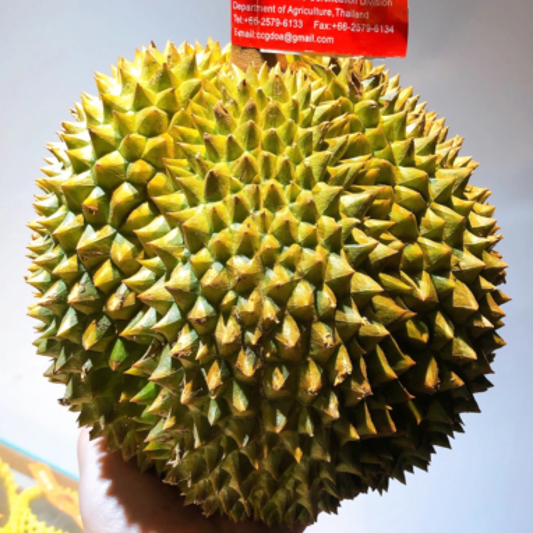 泰国新鲜甲伦榴莲159一个约3.8斤，核大网红新鲜水果新鲜榴莲甲仑泰国