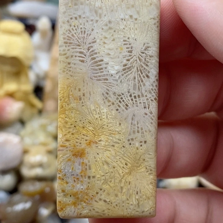 颈饰未镶嵌硅化珊瑚（珊瑚玉）