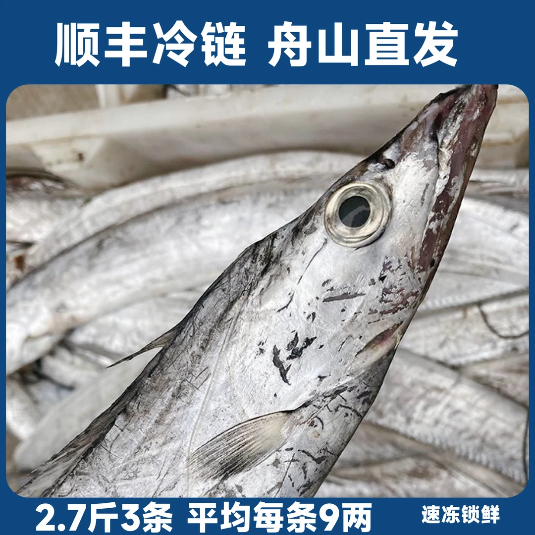 舟山雷达网带鱼小眼睛带鱼无冰衣整条顺丰舟山直发